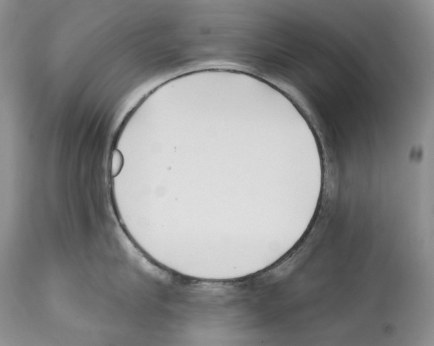 X0000112460910200909281017