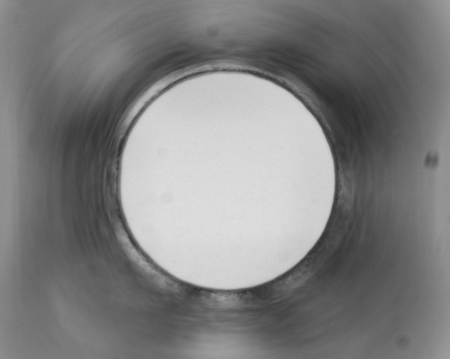 X0000112460911200909281017