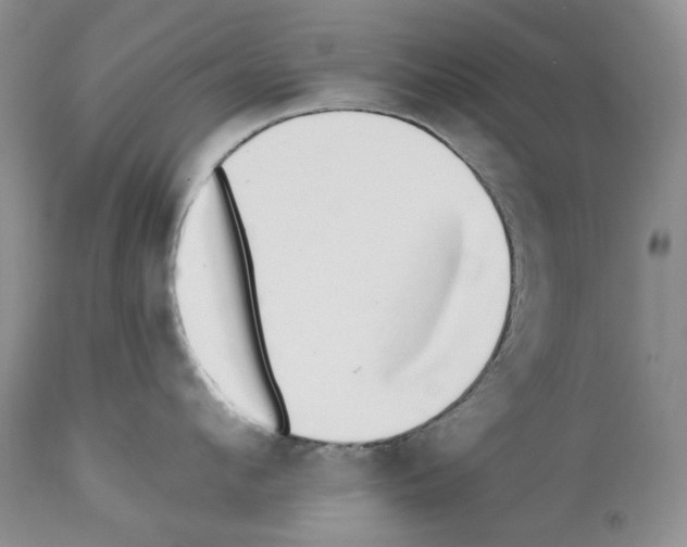 X0000112460912200909281017