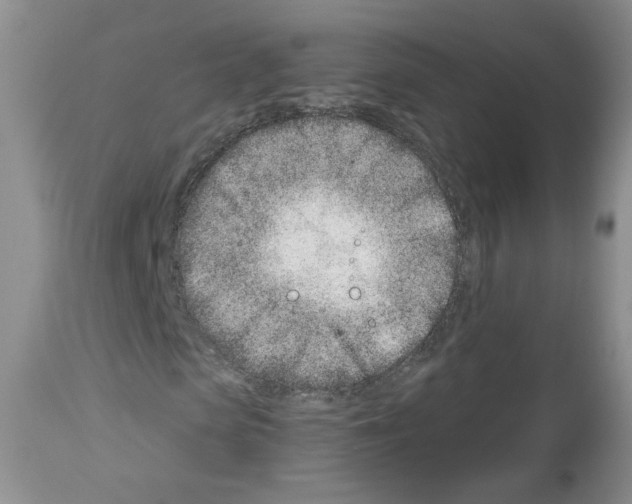 X0000112460913200909281017