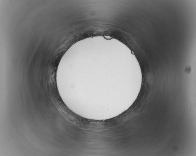 X0000112460914200909281017