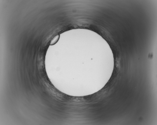 X0000112460915200909281017