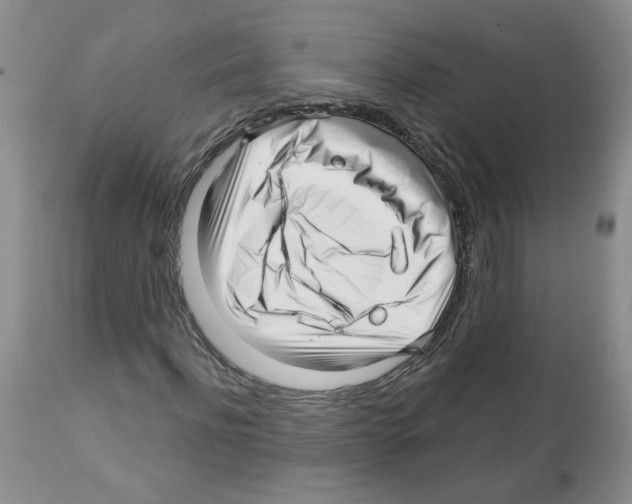 X0000112460916200909281017
