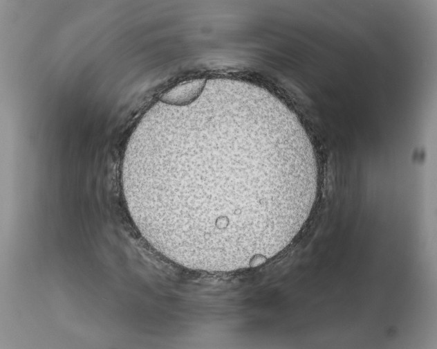 X0000112460917200909281017