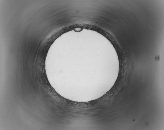 X0000112460919200909281017