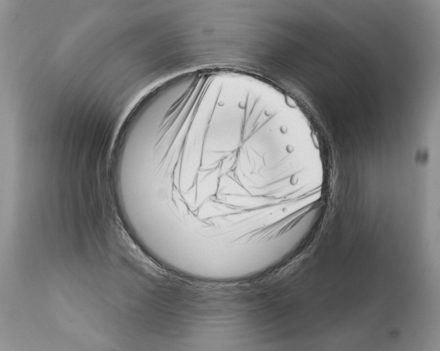 X0000112460924200909281017