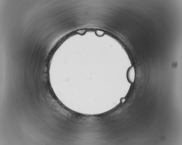 X0000112460926200909281017