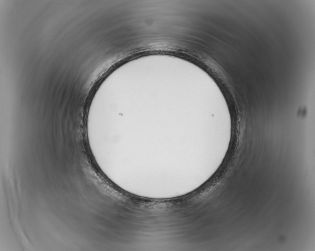 X0000112460930200909281017