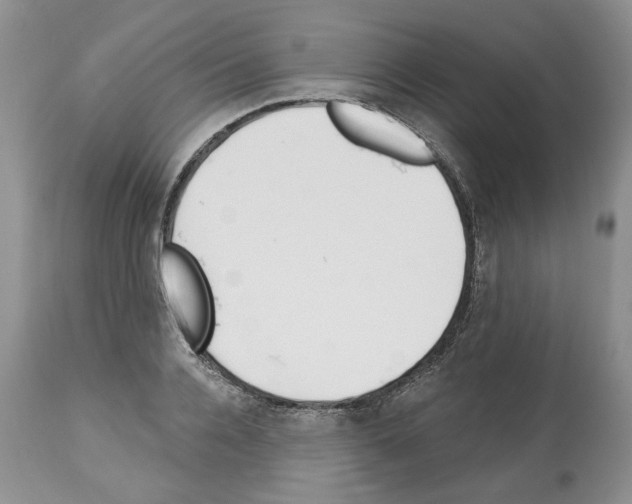 X0000112460936200909281017