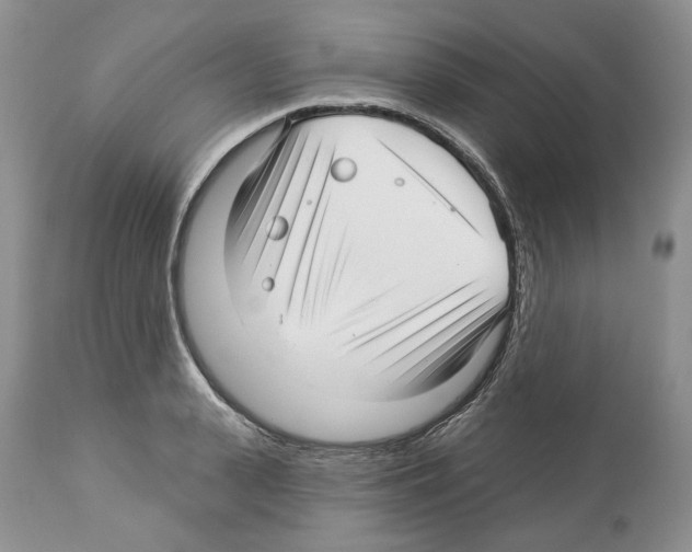 X0000112460943200909281017