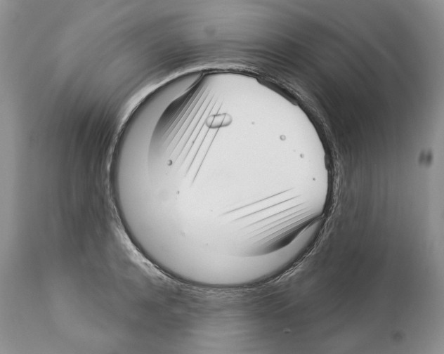 X0000112460944200909281017