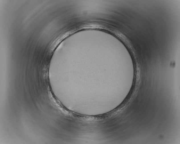 X0000112460945200909281017