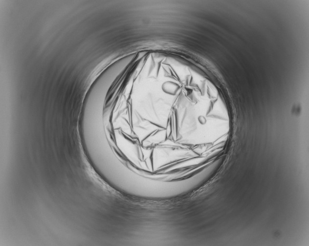 X0000112460946200909281017
