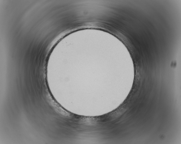 X0000112460950200909281017
