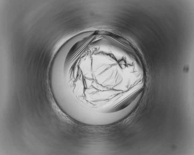 X0000112460952200909281017