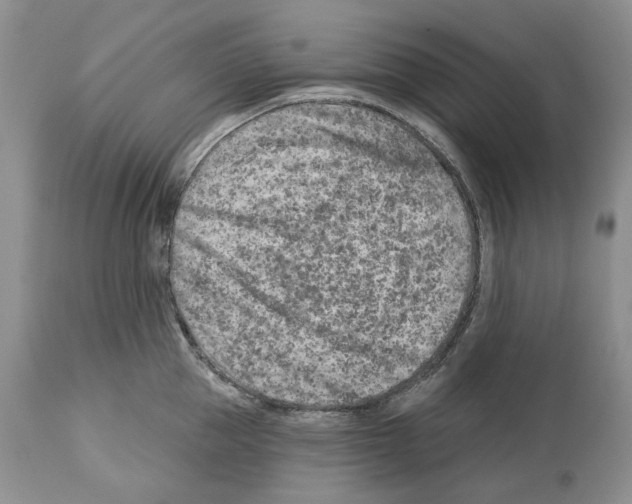 X0000112460953200909281017