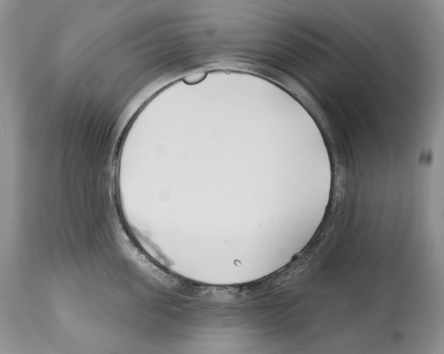 X0000112460955200909281017