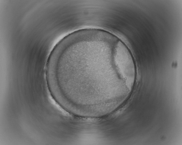X0000112460958200909281017