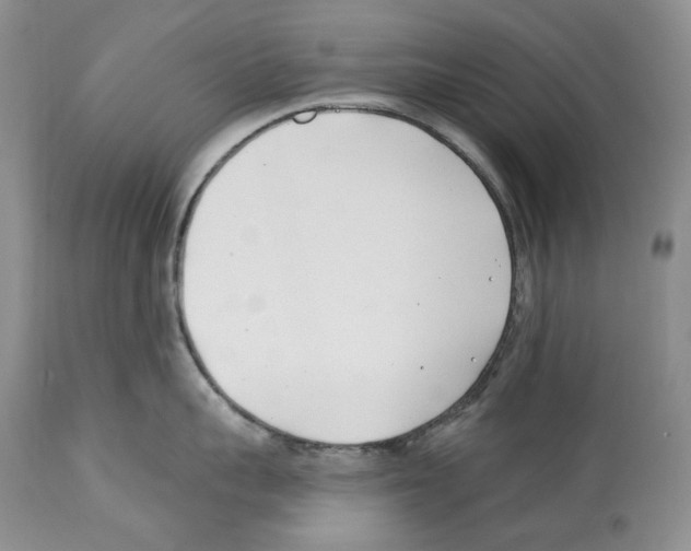 X0000112460959200909281017