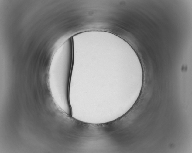 X0000112460960200909281017