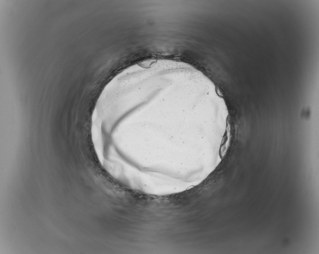 X0000112460961200909281017