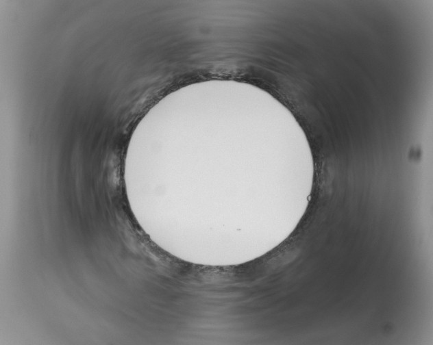 X0000112460962200909281017