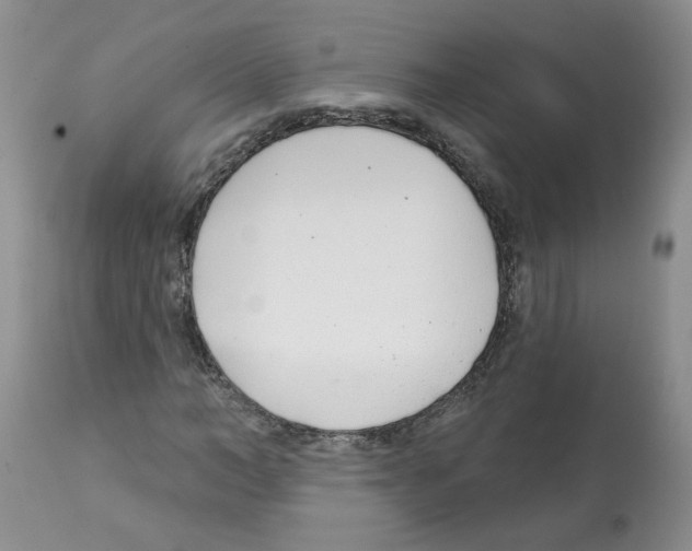 X0000112460966200909281017