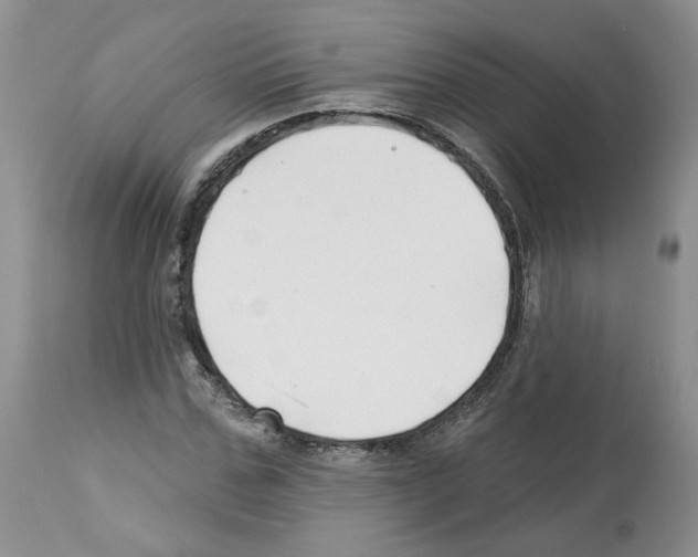 X0000112460971200909281016