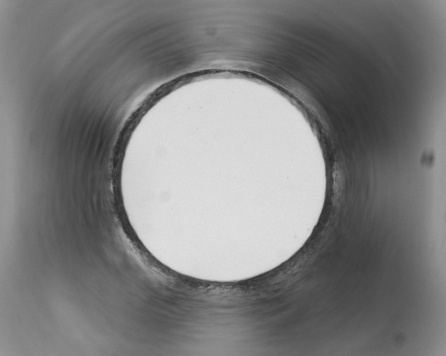 X0000112460972200909281016