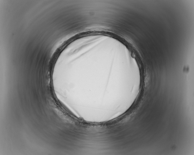 X0000112460973200909281016