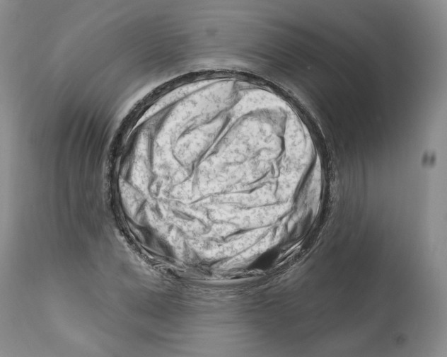 X0000112460975200909281016