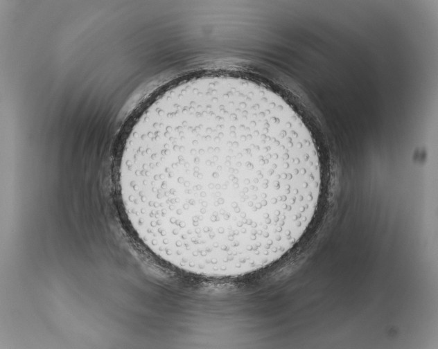 X0000112460978200909281016