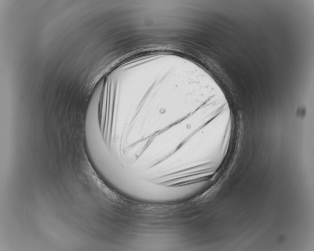 X0000112460985200909281016