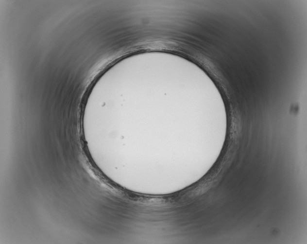 X0000112460986200909281016