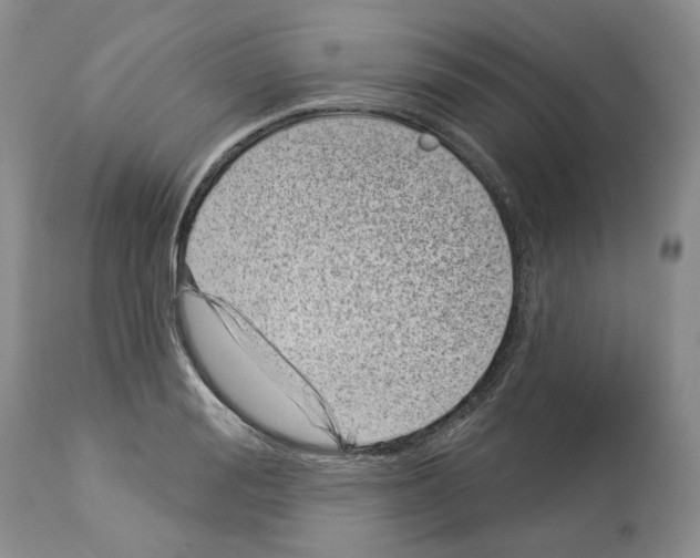 X0000112460988200909281016