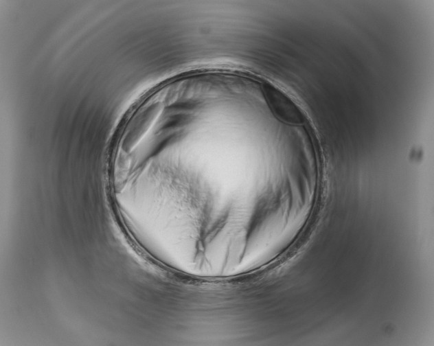 X0000112460989200909281016