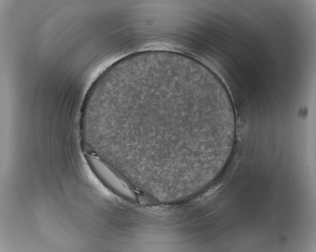 X0000112460995200909281016
