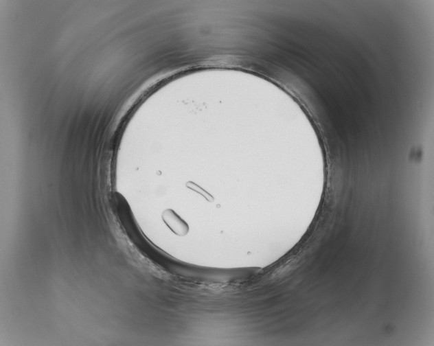 X0000112461000200909281016