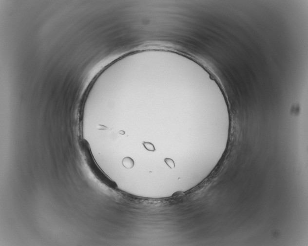 X0000112461003200909281016