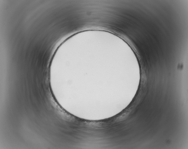 X0000112461004200909281016
