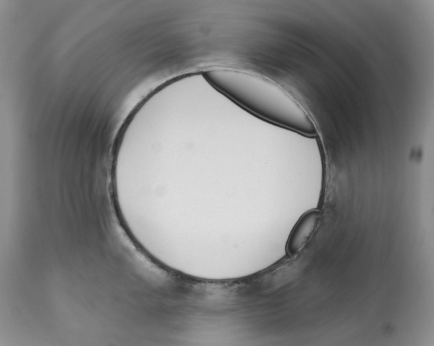X0000112461005200909281016