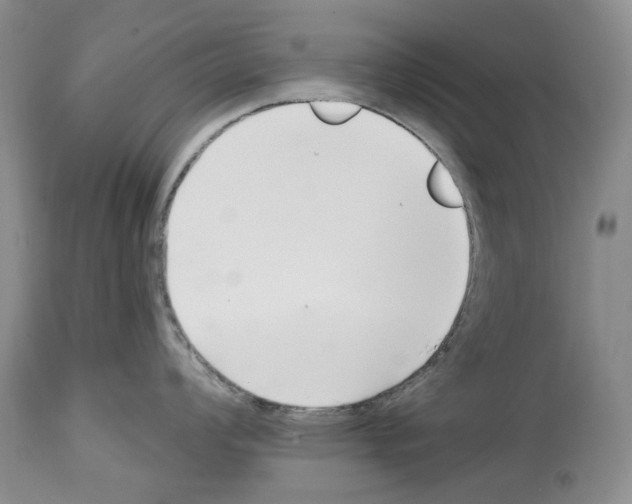 X0000112461008200909281016