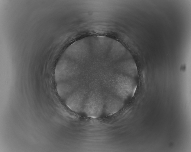 X0000112461009200909281015