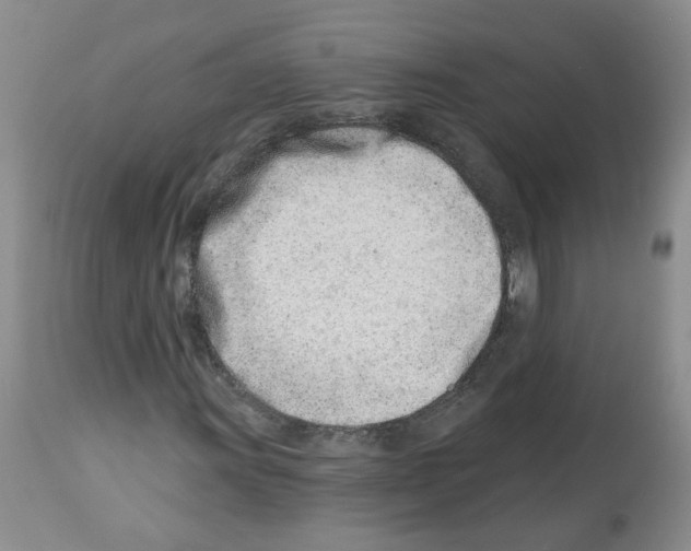 X0000112461011200909281015