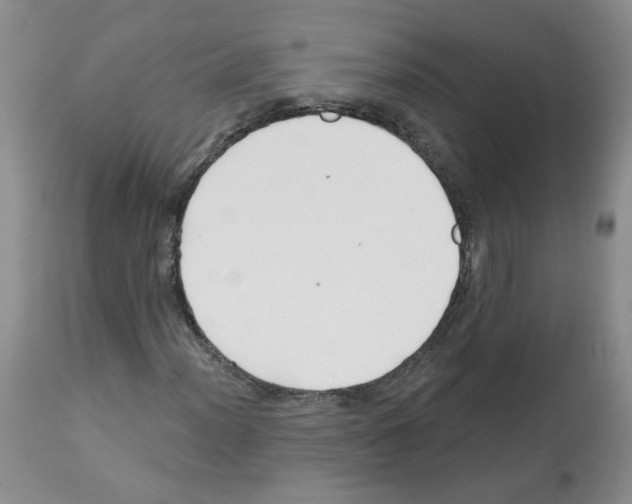 X0000112461012200909281015