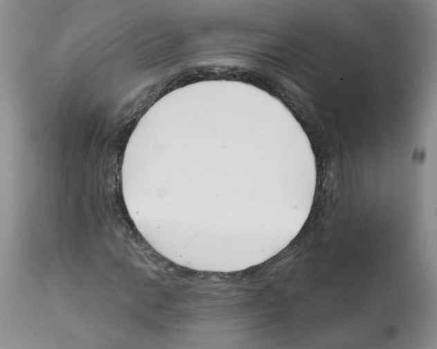 X0000112461014200909281015