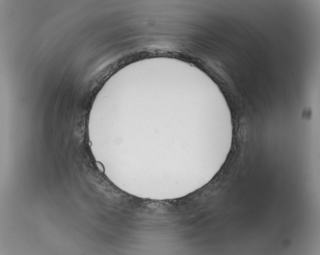X0000112461015200909281015
