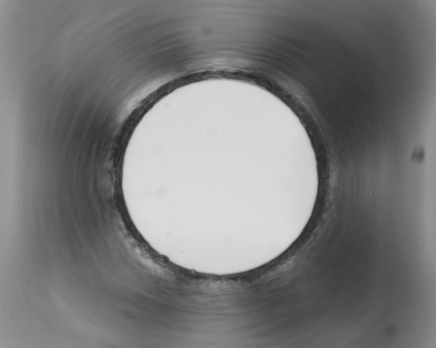 X0000112461018200909281015