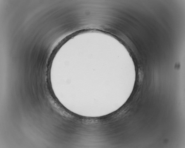 X0000112461020200909281015