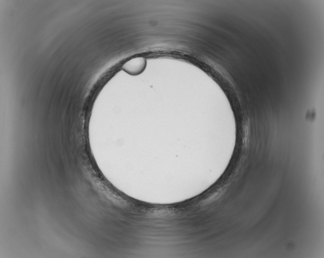 X0000112461021200909281015